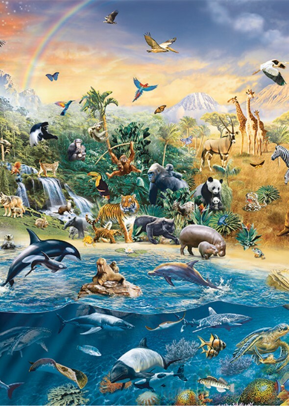 Our Planet (TV Series)
