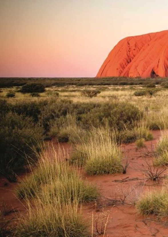 Outback