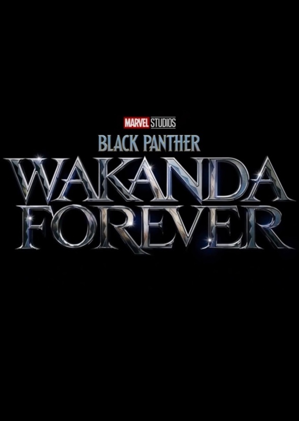 Pantera Negra : Wakanda para sempre