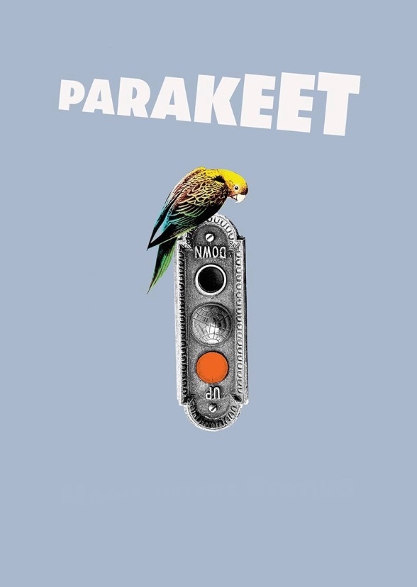 Parakeet