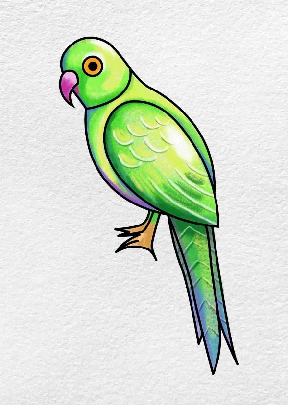 Parker & The Parrot