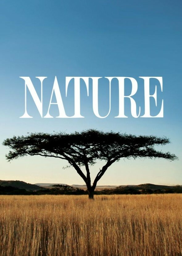 PBS Nature (Animated Version)