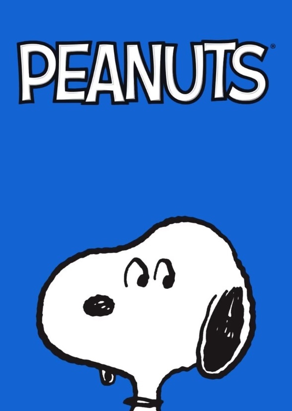 PEANUTS THE SERIES