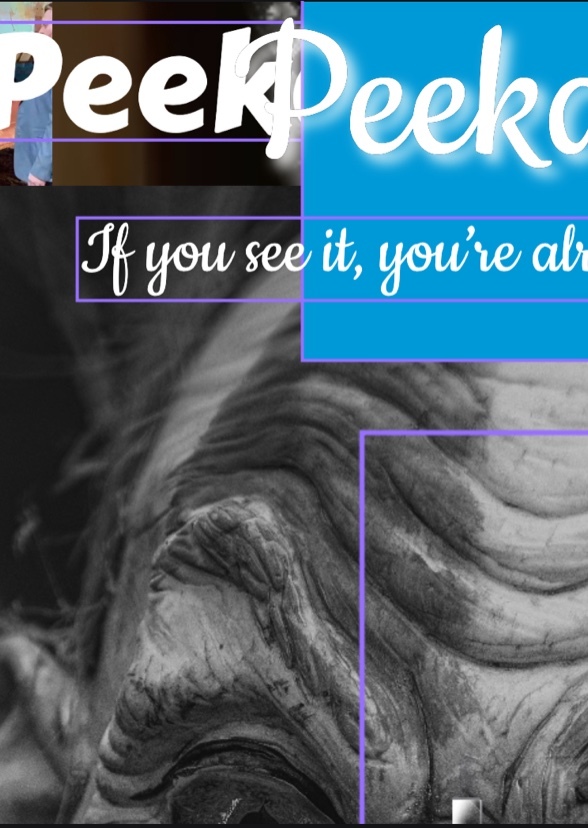 Peeka Seek