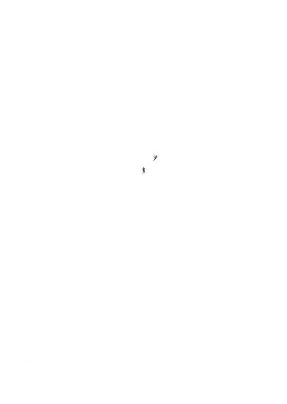 Peyton Reed's Ant-Man and the Wasp (2008)