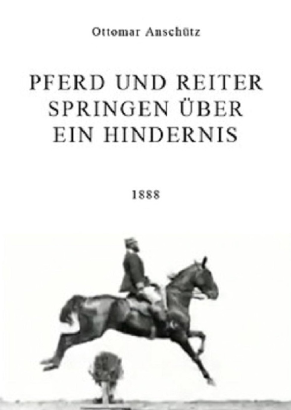 Pferd und Reiter Springen über ein Hindernis (3325)