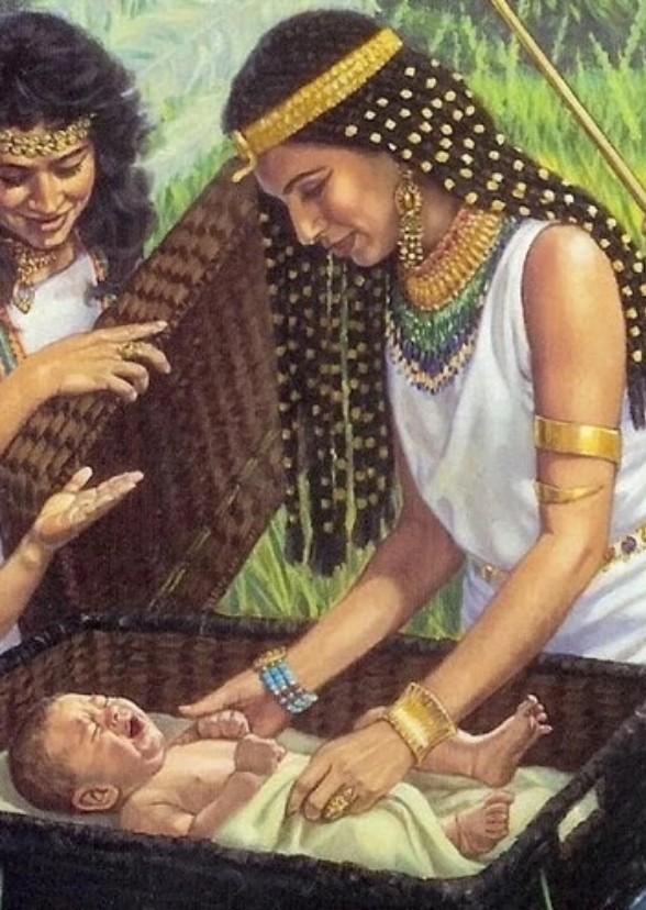 Pharoah's Daughter