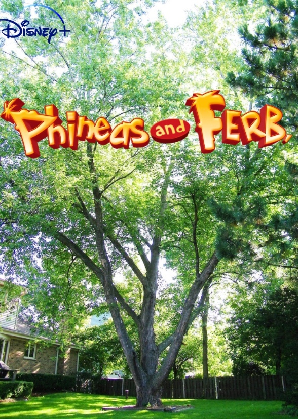 Phineas and Ferb Live Action