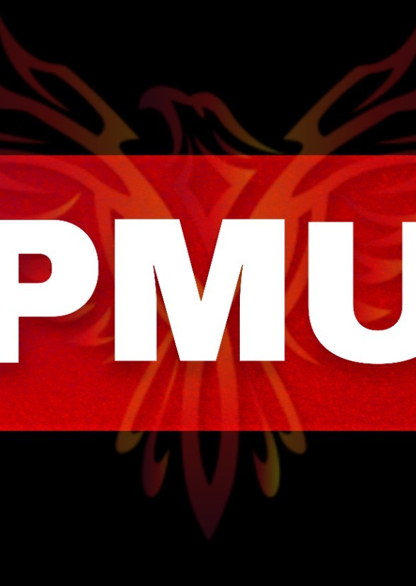 Phoenix Marvel Universe Cast