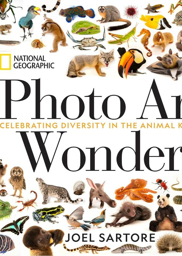Photo Ark Wonders