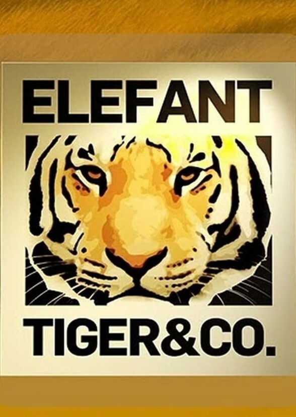 Pirate Tigers  1