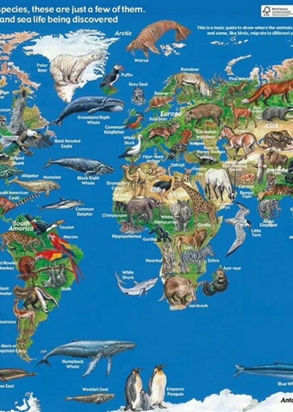 Planet Earth: The Animal Voices (Documentary Series)