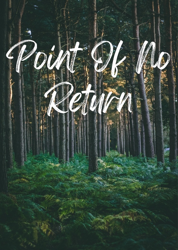 Point Of No Return