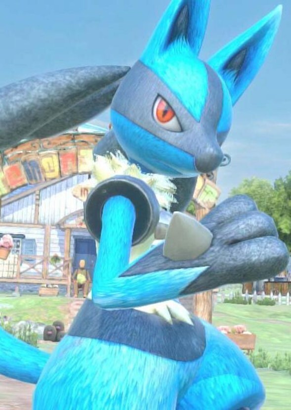 Pokken dx nia