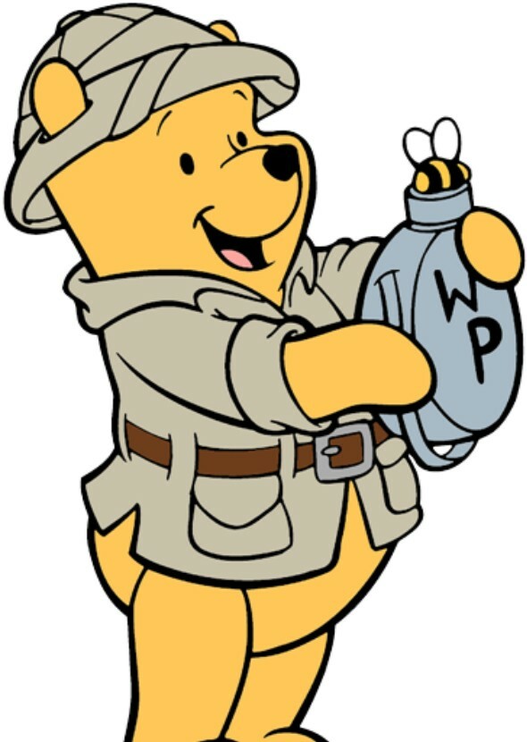 Pooh's Safari Movie