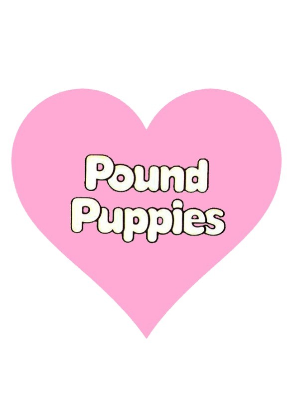 Pound Puppies (2026 live-action with CGI animated film)