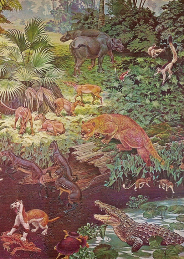 Prehistory of the Earth 