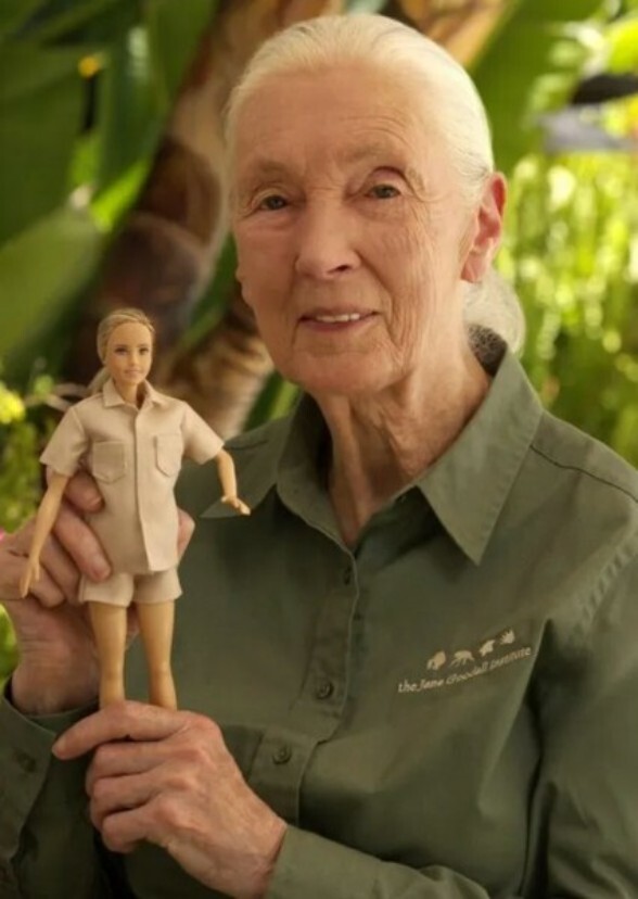 Primatology: The Jane Goodall Story