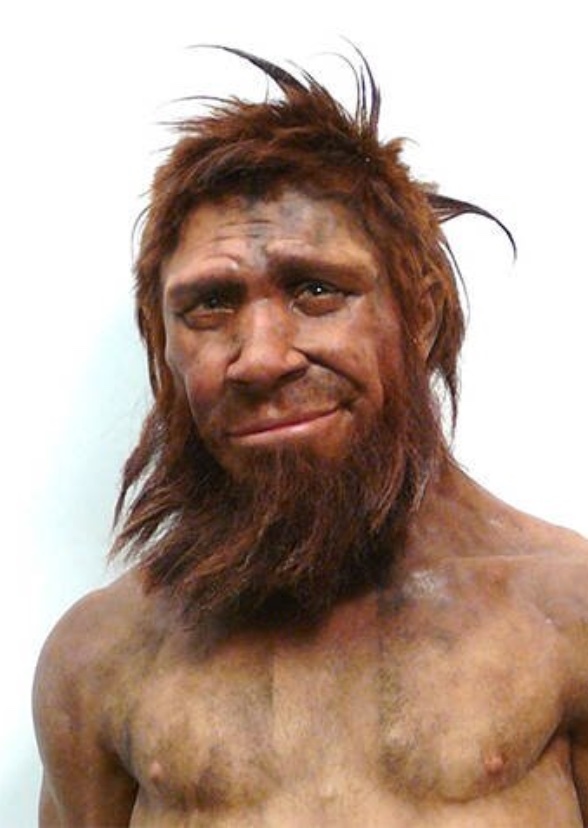 Primitive Man