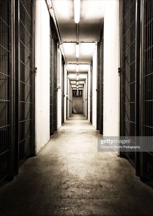 Prisionero