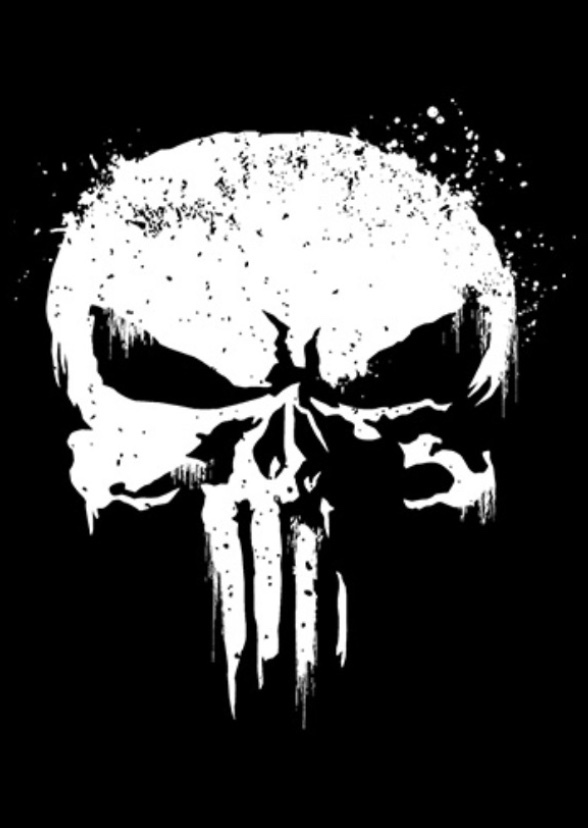 Punisher chronicles
