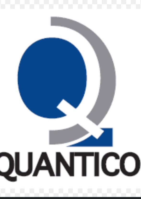 Quantico 2 (2038)