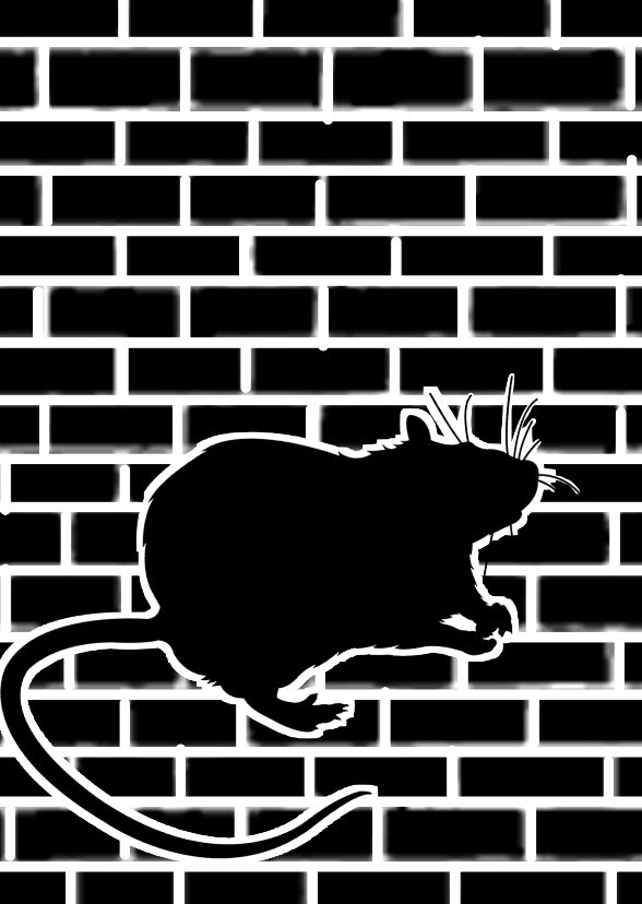 Rat thread 