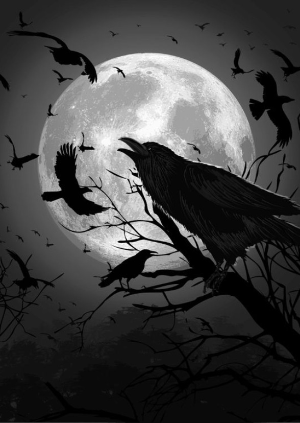 Raven of the Slain 