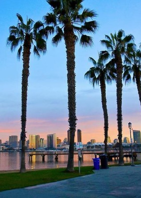 Real Singles of San Diego 