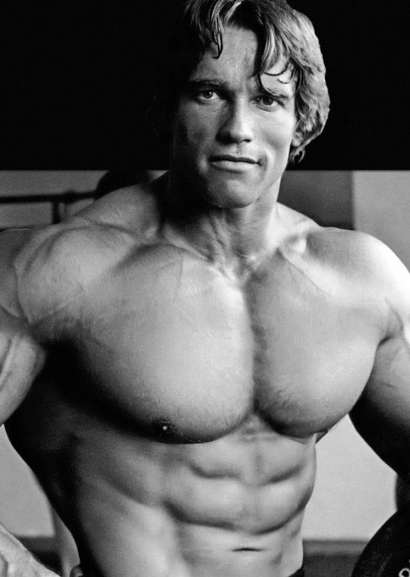 Recast Arnold Schwarzenegger