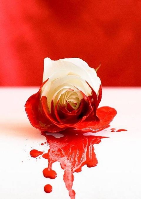 Red Roses