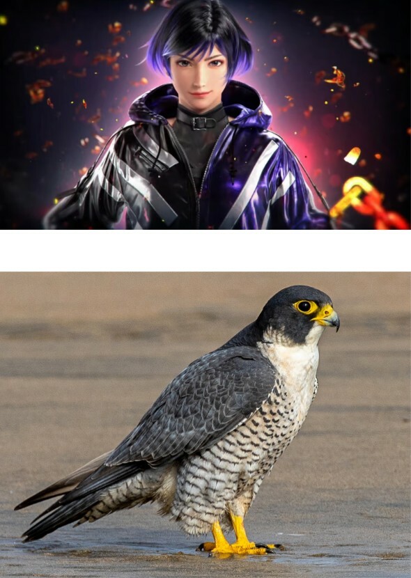 Reina’s pet Peregrine Falcon