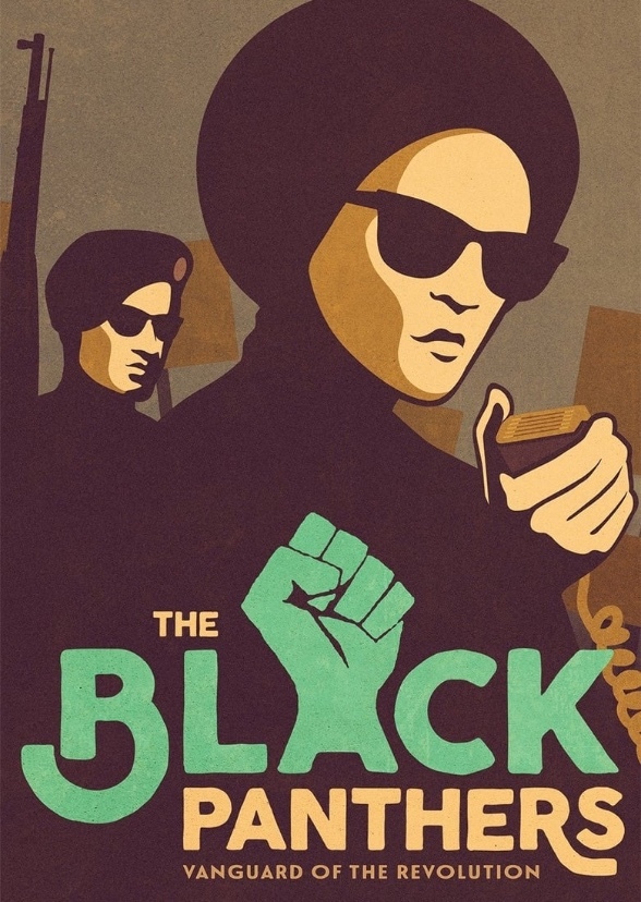 Rise and fall of the black panthers 