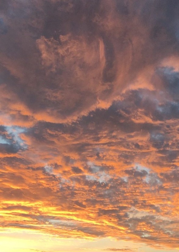 Rise 