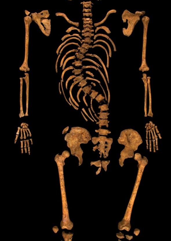 Robert Eggers's Richard III