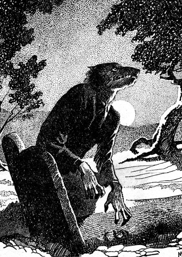 VVerwulf
