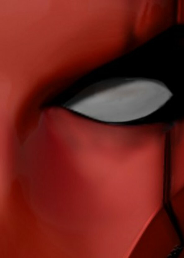 Robin: Under The Red Hood
