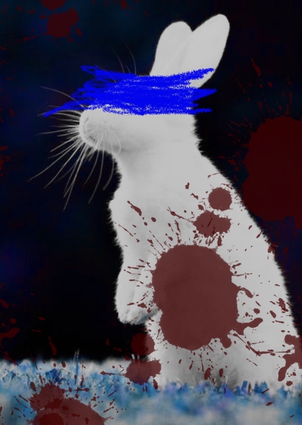 Run rabbit run