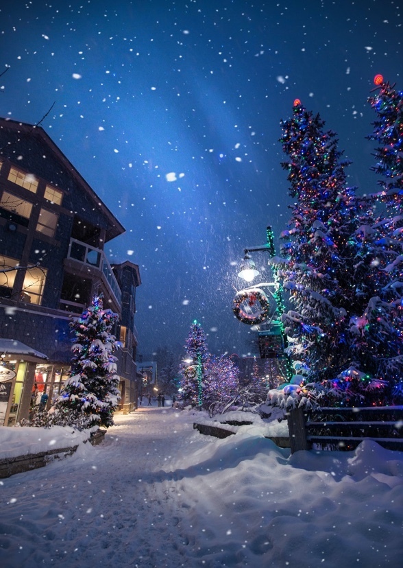 Home for the holidays