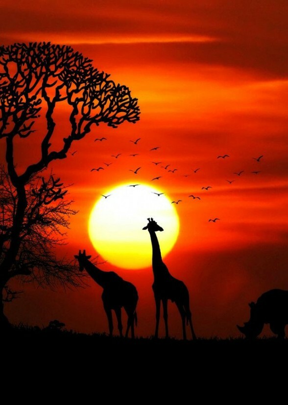 Savannah Kingdom 