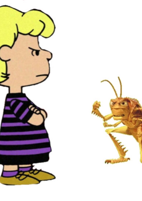Schroeder vs Chucky