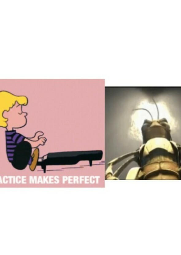 Schroeder vs hopper