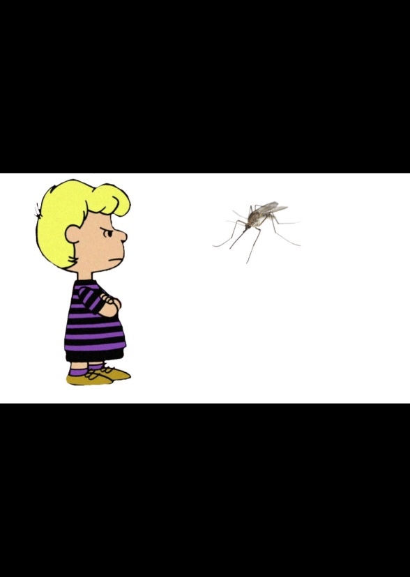 Schroeder vs Mosquito 