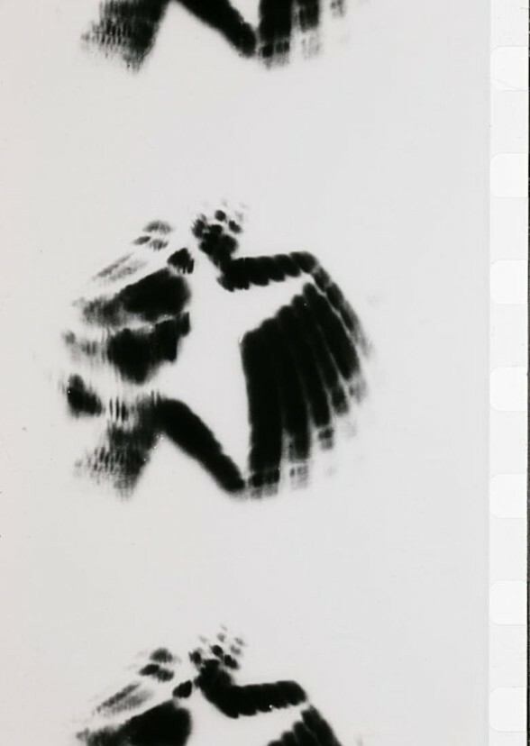 Shadow & Light