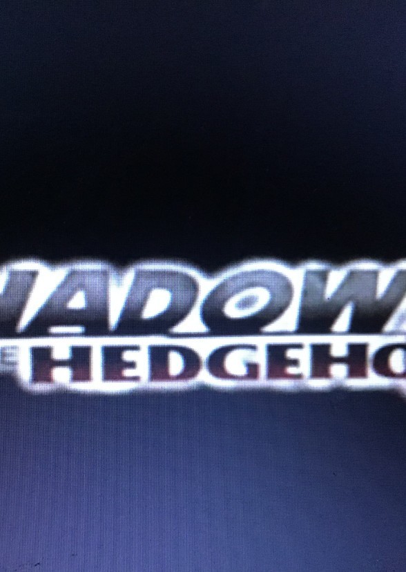 Shadow the Hedgehog (Live Action Spinoff Series)