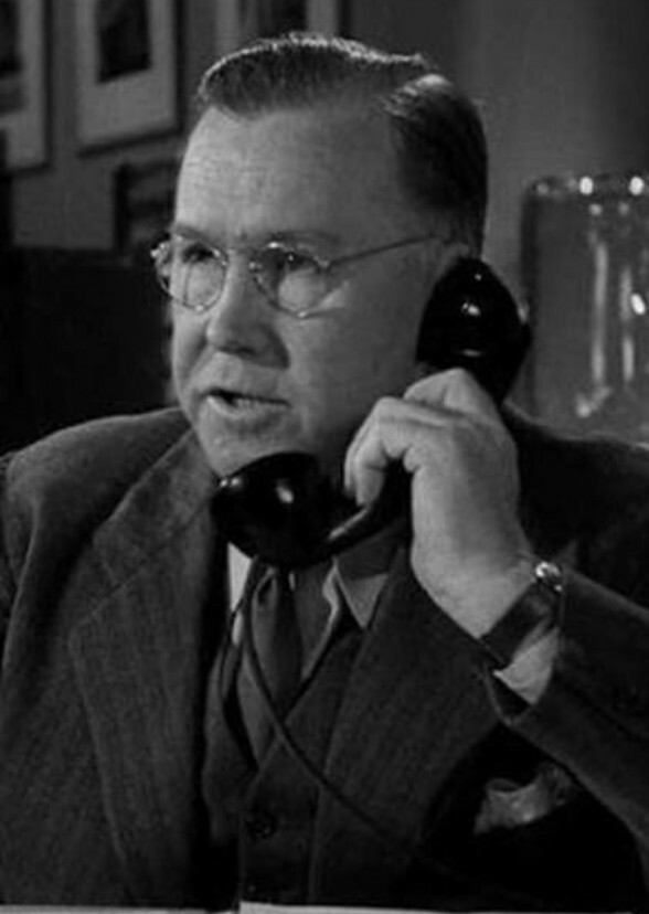 Shadows on the Screen: The Harry Hayden Chronicles