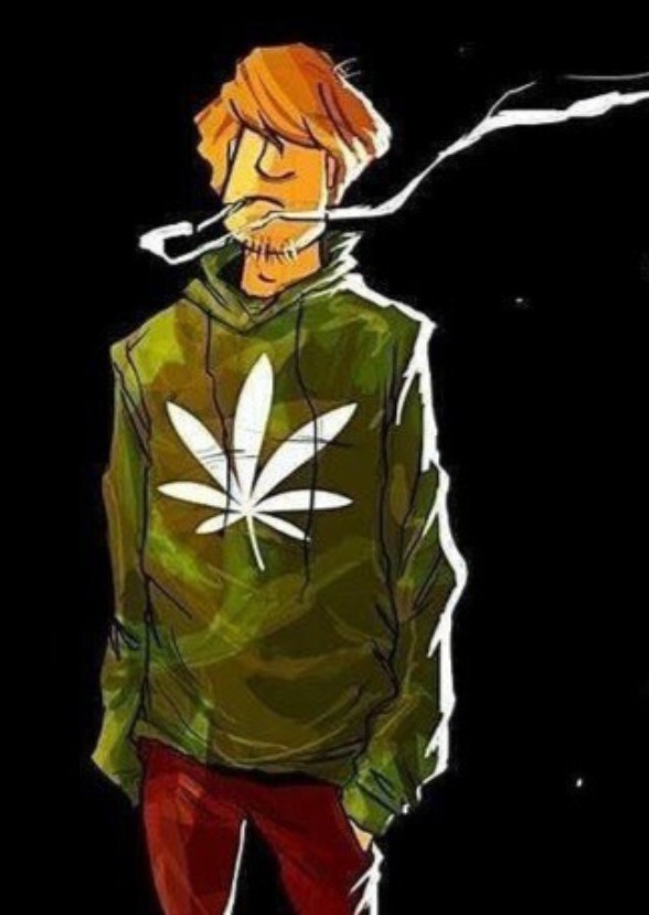Shaggy: Becoming Drip