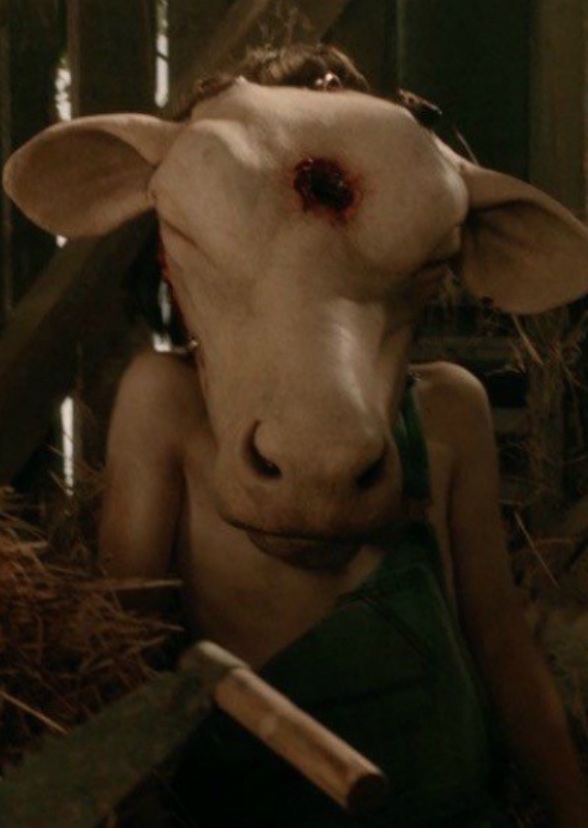 Shreds of Flesh