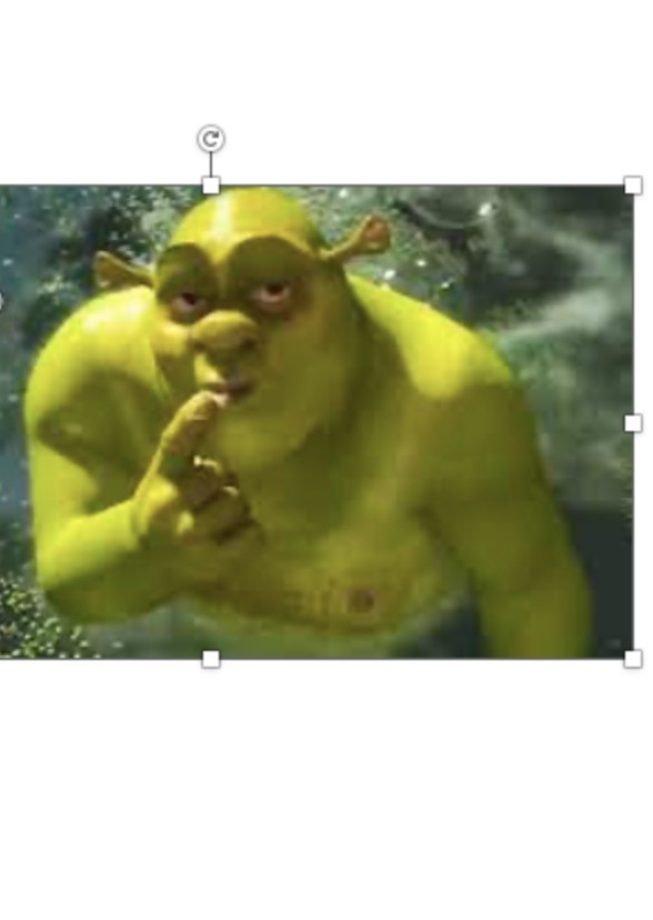 Shrek and Ned 