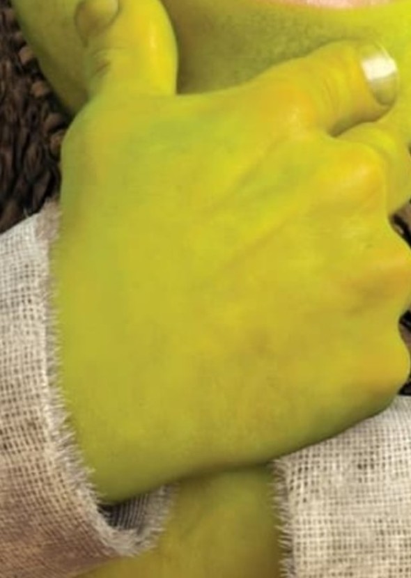 Shrek VS.